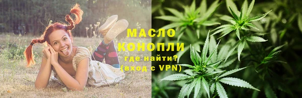 мдпв Богородицк